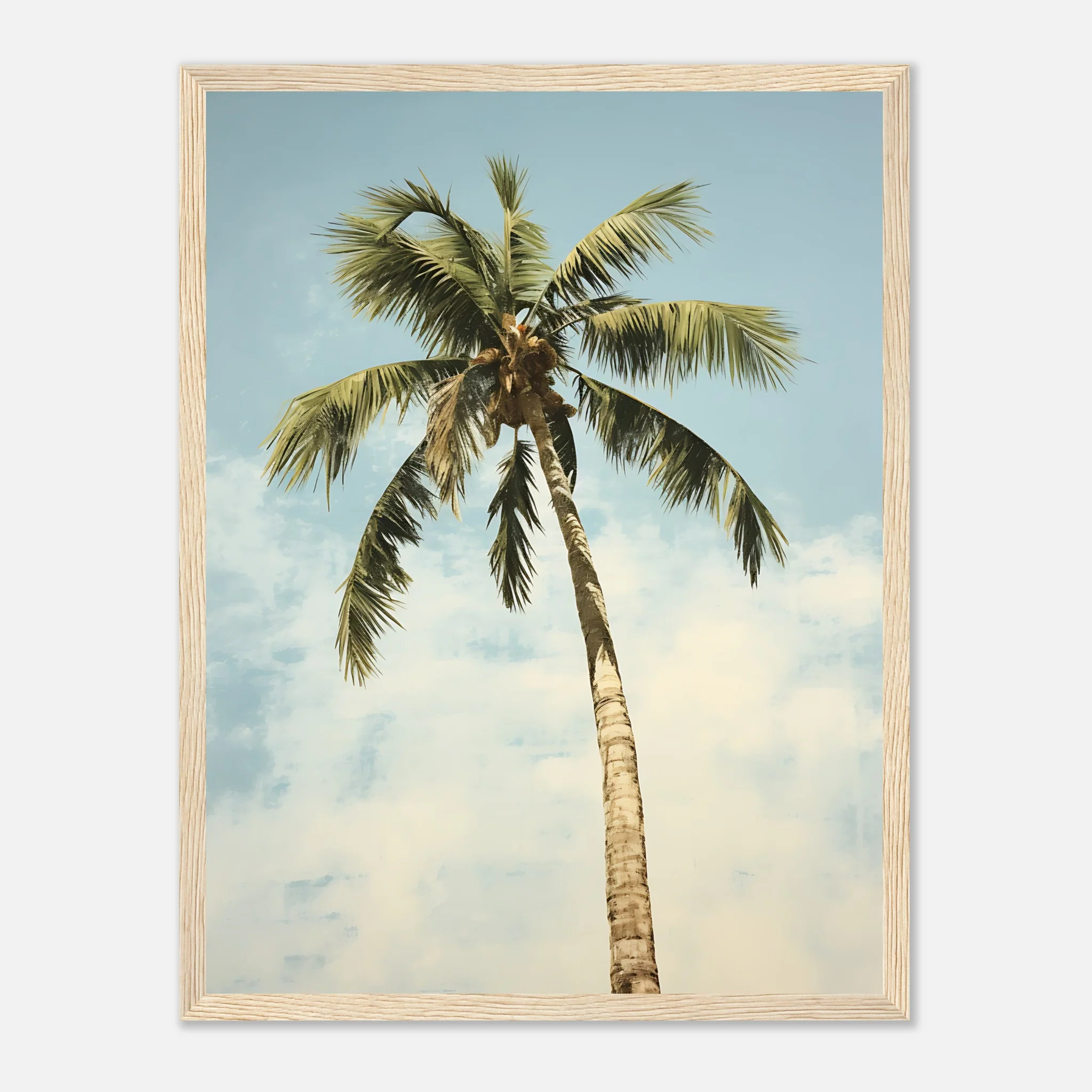 Palm Tree – Poster - Image 17